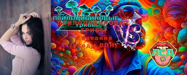 спиды Зерноград