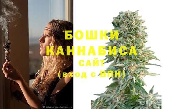 прущая мука Инта