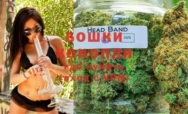 ГАЛЛЮЦИНОГЕННЫЕ ГРИБЫ Иннополис